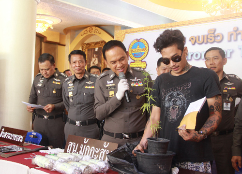 รวบหนุ่มนักดนตรีเสพและปลูกกัญชาย่านดุสิต