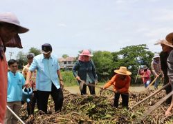 ลพบุรีนำผักตบชวาทำปุ๋ยหมักให้ชาวบ้านใช้ฟรี