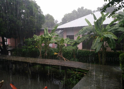 อุตุฯเผยไทยยังมีฝนภาคตอ.ใต้ฝั่งตต. ตกหนัก-กทม.60%