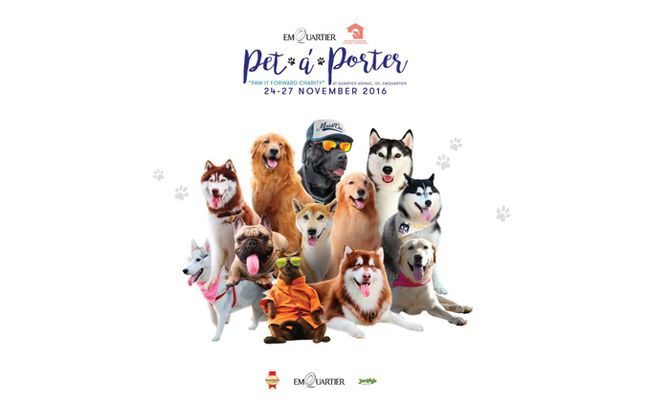 ชวนคนรักหมา ส่งต่อความรักสู่เจ้าสี่ขากันที่  “Pet A Porter 2016”