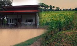 เปิด "บ้านไร่ป่าสงวน" ของพี่ปอ ทฤษฎี กับการออมน้ำเพื่อการเกษตร