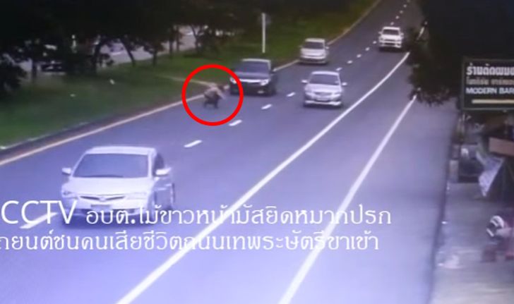 ภาพสยอง! วินาทีป้าวิ่งลงถนน นั่งขวางให้เก๋งป้ายแดงทับตาย