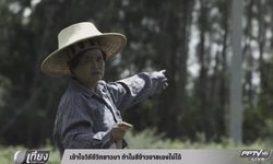 เข้าใจวิถีชีวิตชาวนา ทำไมสีข้าวขายเองไม่ได้...