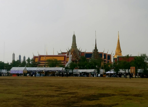 จิตอาสาเร่งจัดการขยะแก้ปัญหาต้นมะขามสนามหลวง