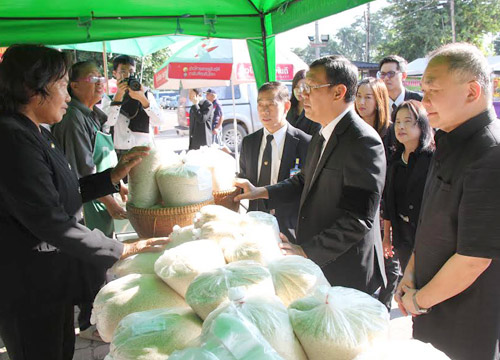 พิษณุโลก-กาฬสินธุ์งัดมาตรการหลากหลายช่วยชาวนา