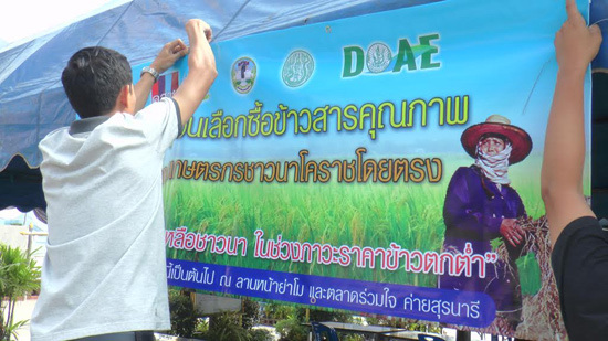 โคราชเตรียมที่ขายข้าวราคาถูกช่วยชาวนา