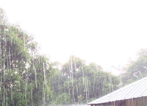 เหนืออีสานกลางมีฝนลมแรงใต้ตกหนักกทม.40%