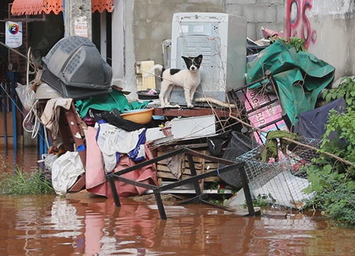 ขอนแก่นฝนตกหนักน้ำท่วมกว่า200หลังคาเรือน