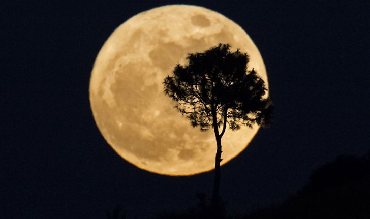 ประมวลภาพ ทั่วโลกตื่นตาปรากฏการณ์ "Super Full Moon"