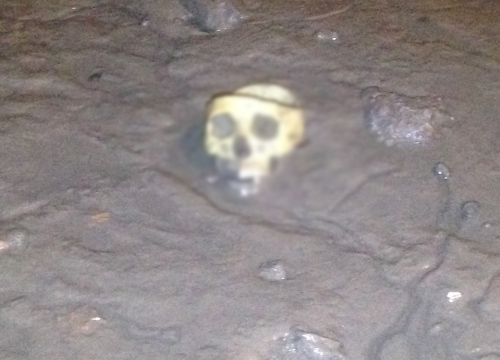 พบโครงกระโหลกริมน้ำแถวบางนา-เร่งสอบ