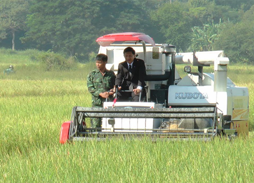 ผู้ว่าอ่างทองในชุดสูทขับรถเกี่ยวข้าวช่วยชาวนา