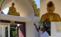 สุดแปลก! แตนสร้างรังปิดตาพระพุทธรูปที่อ่างทอง