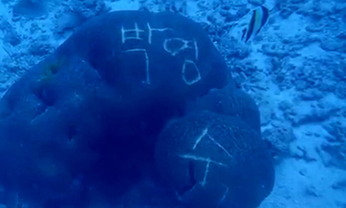 วิจารณ์หนัก นักท่องเที่ยวมือบอน เขียนภาษาเกาหลีบนปะการัง ใต้ทะเลลึกหมู่เกาะสิมิลัน