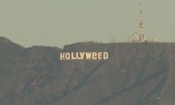 ชาวเมืองงง..รับปีใหม่ ตื่นมาเจอป้ายดังเปลี่ยนเป็น "Hollyweed"