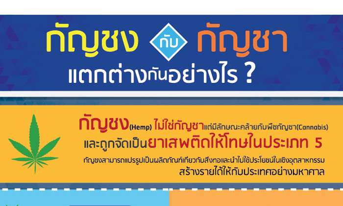 สำนักงาน ป.ป.ส. เผยความคืบหน้า กรณีส่งเสริมกัญชงเป็นพืชเศรษฐกิจภายใต้การกำกับดูแลอย่างเหมาะสม