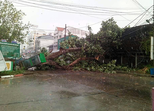 เหนือ-อีสานเละพายุฤดูร้อนพัดถล่มบ้านพังหลายจุด