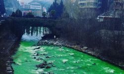 ชาวสเปนตะลึง! น้ำในแม่น้ำกลายเป็นสีเขียวสดในชั่วข้ามคืน