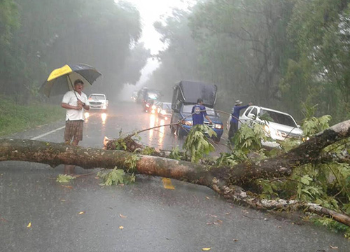 ปภ.เตือนระวังฝนฟ้าคะนอง-เร่งช่วยปชช.13จว.
