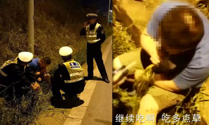 ชายเมาแล้วขับแต่กลัวตำรวจจับ วิ่งลงรถดึงหญ้าข้างทางกินไม่หยุด