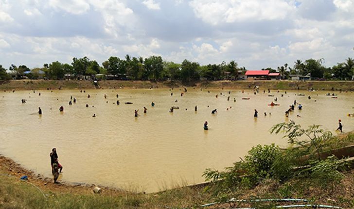 สุรินทร์เปิดสระขายบัตรให้ลงหว่านแหจับปลา