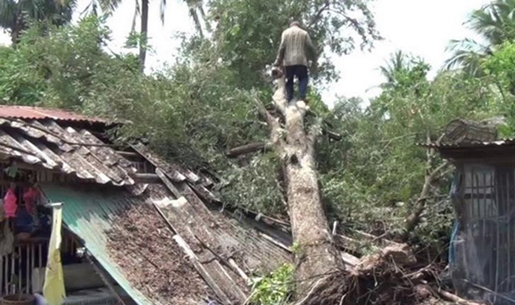 พายุกระหน่ำอ่างทองต้นมะขาม70ปีล้มทับบ้านพัง