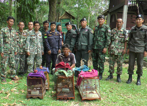 รวบหนุ่มเพาะสัตว์ป่าจำหน่ายในบ้านพักที่ระนอง