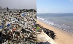 อินเดียขจัดขยะราว 5 พันตันริมฝั่งทะเล เผยหาดสีทองสวยงาม