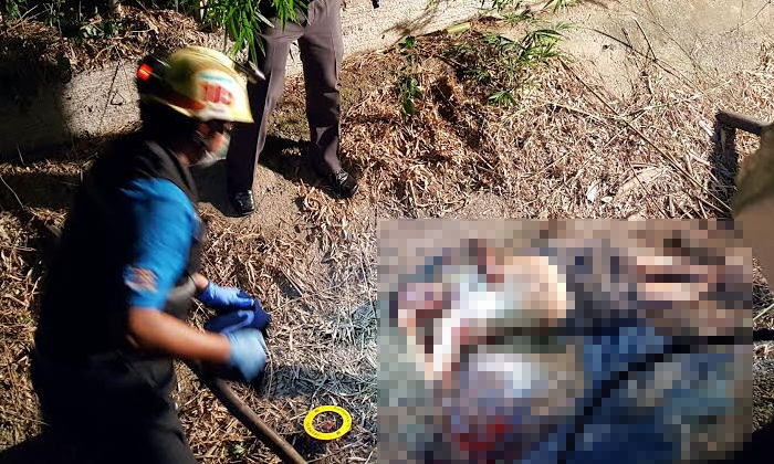 เมียสุดช็อก! กลับจากงานศพ พบสามีถูกฆ่าโหดตายคาร่องน้ำ