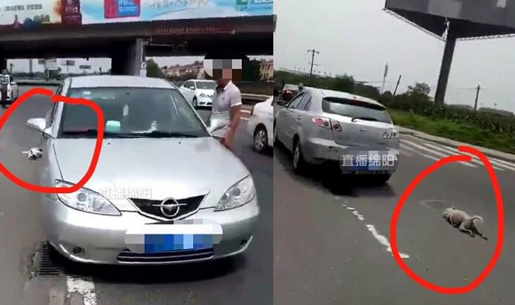 ชาวเน็ตจีนเดือด ล่าตัวชายจับสุนัขผูกท้ายรถ ขับลากตามถนน