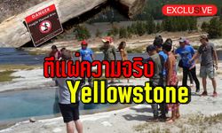 ตีแผ่ความจริง! Yellowstone From Thailand