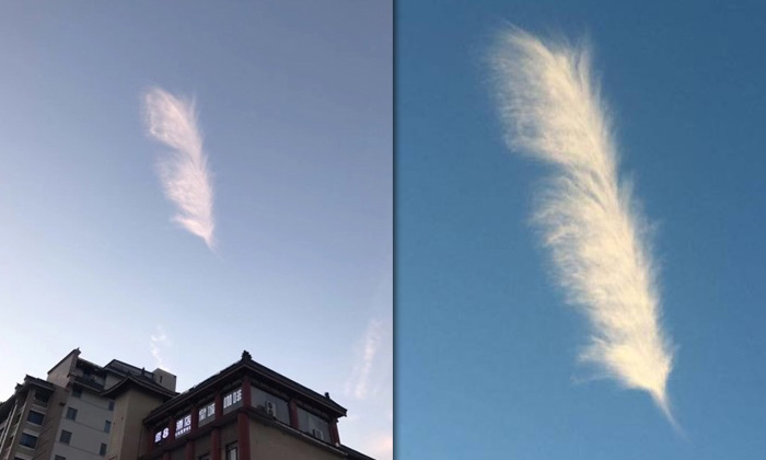 ชาวจีนในซีอานฮือฮา แชร์สนั่นภาพ “เมฆขนไก่ยักษ์”
