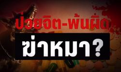 จับพิรุธ นศ.แพทย์ฆ่าสุนัขเอาเงินประกัน ป่วยทางจิตต้องรับผิดหรือไม่