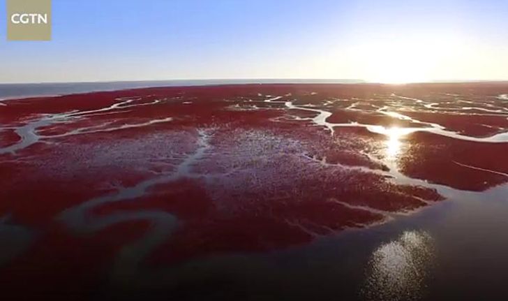 สวยงาม! “หาดทรายสีเลือด” เอกลักษณ์ดึงดูดนักท่องเที่ยวไม่ขาดสาย