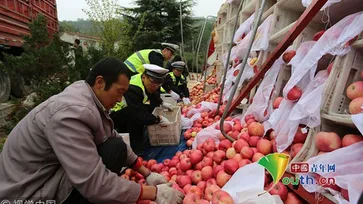 แอปเปิ้ลหลายตันเทกระจาดกลางถนน ตำรวจ-ชาวบ้านช่วยเก็บจนครบ
