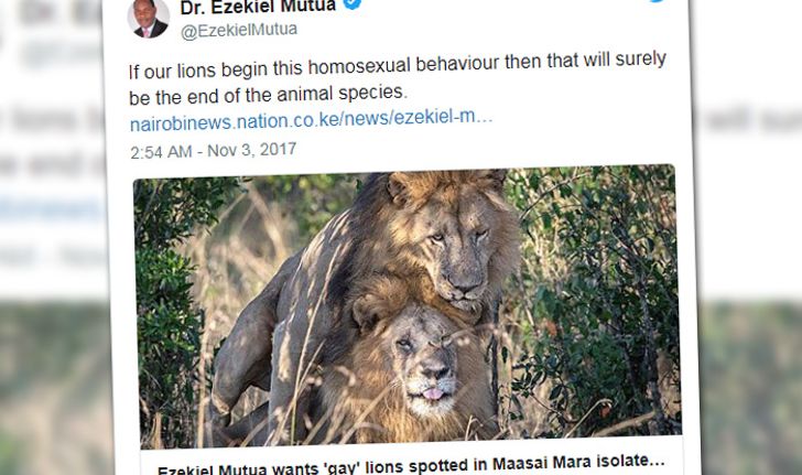 เคนยาจ่อจับแยก "สิงโตรักร่วมเพศ" โทษคนทำให้สัตว์เลียนแบบ