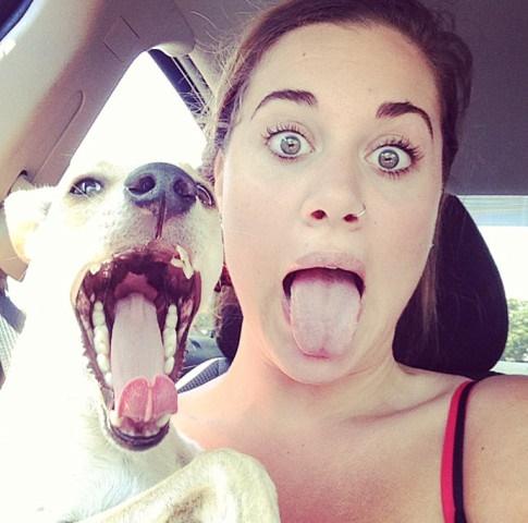 เหมือนคนเหมือนหมา