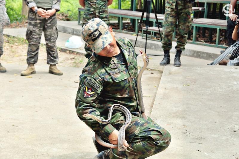 ฝึกคอบราโกลด์ 2018