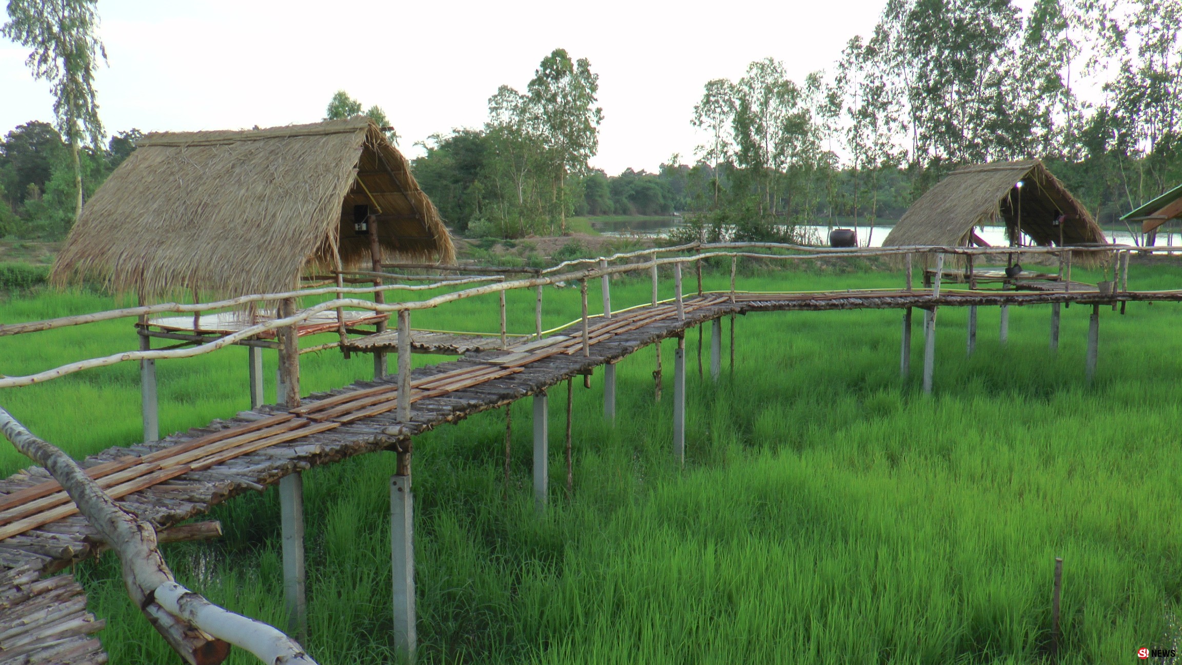 ไอเดียสุดเก๋ ร้านอาหารลอยฟ้ากลางทุ่งนาข้าว สวยงามกลางธรรมชาติ