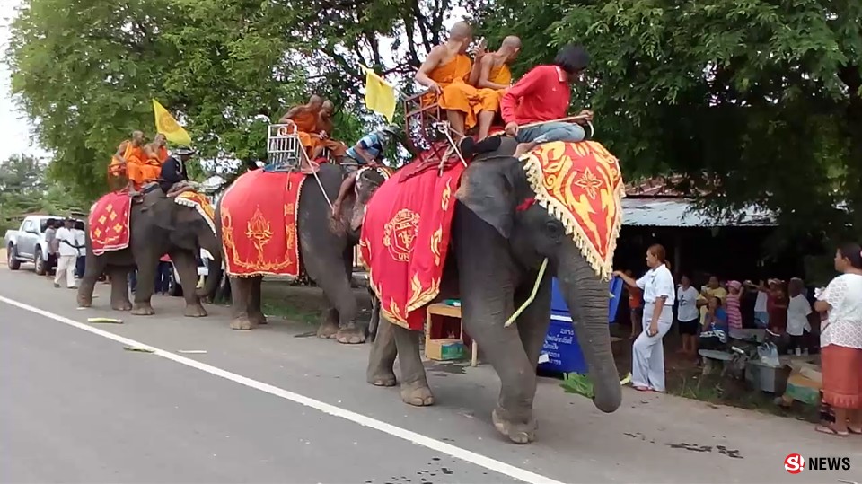 ช้าง 7 เชือก นำขบวนแห่อัญเชิญพระบรมสารีริกธาตุเนื่องในวันวิสาขบูชา ระยะทางกว่า 4 กม.   