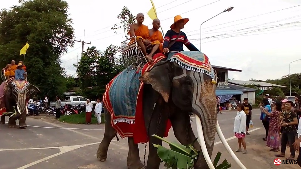 ช้าง 7 เชือก นำขบวนแห่อัญเชิญพระบรมสารีริกธาตุเนื่องในวันวิสาขบูชา ระยะทางกว่า 4 กม.   