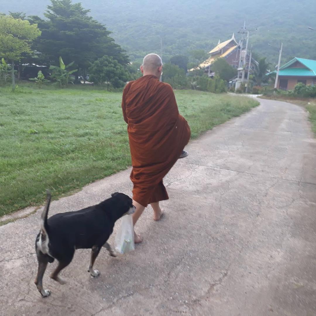 สรยุทธ สุทัศนะจินดา
