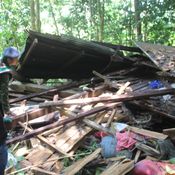 ช้างป่าอาละวาดกินผลไม้ในสวนชาวบ้าน พร้อมทำลายบ้านพัง 2 หลัง 