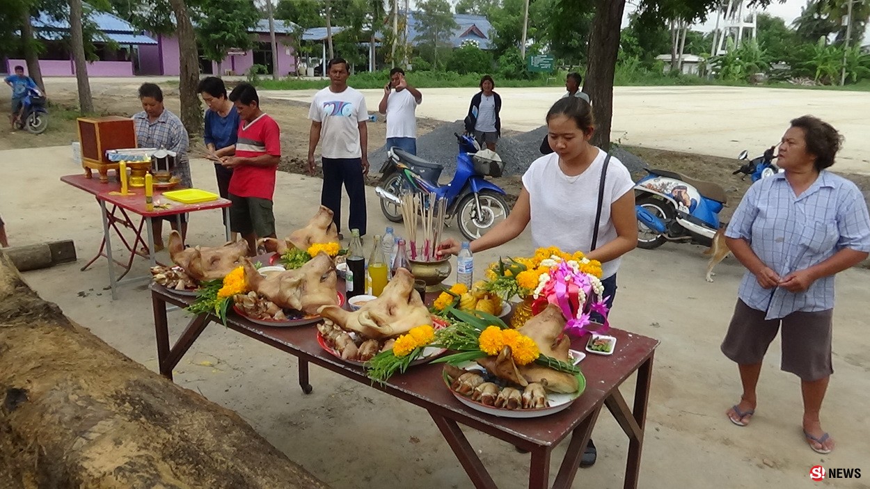 ขนลุก! ฝันเห็นผู้เฒ่าในแม่น้ำ รุ่งเช้าสำรวจพบต้นตะเคียงคู่ ชาวบ้านแห่กราบไหว้-ขอเลขเด็ด  