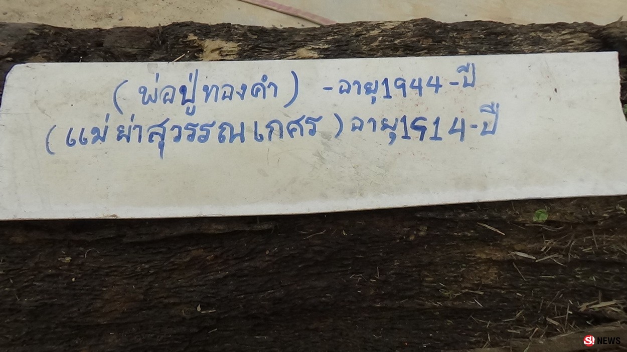 ขนลุก! ฝันเห็นผู้เฒ่าในแม่น้ำ รุ่งเช้าสำรวจพบต้นตะเคียงคู่ ชาวบ้านแห่กราบไหว้-ขอเลขเด็ด  