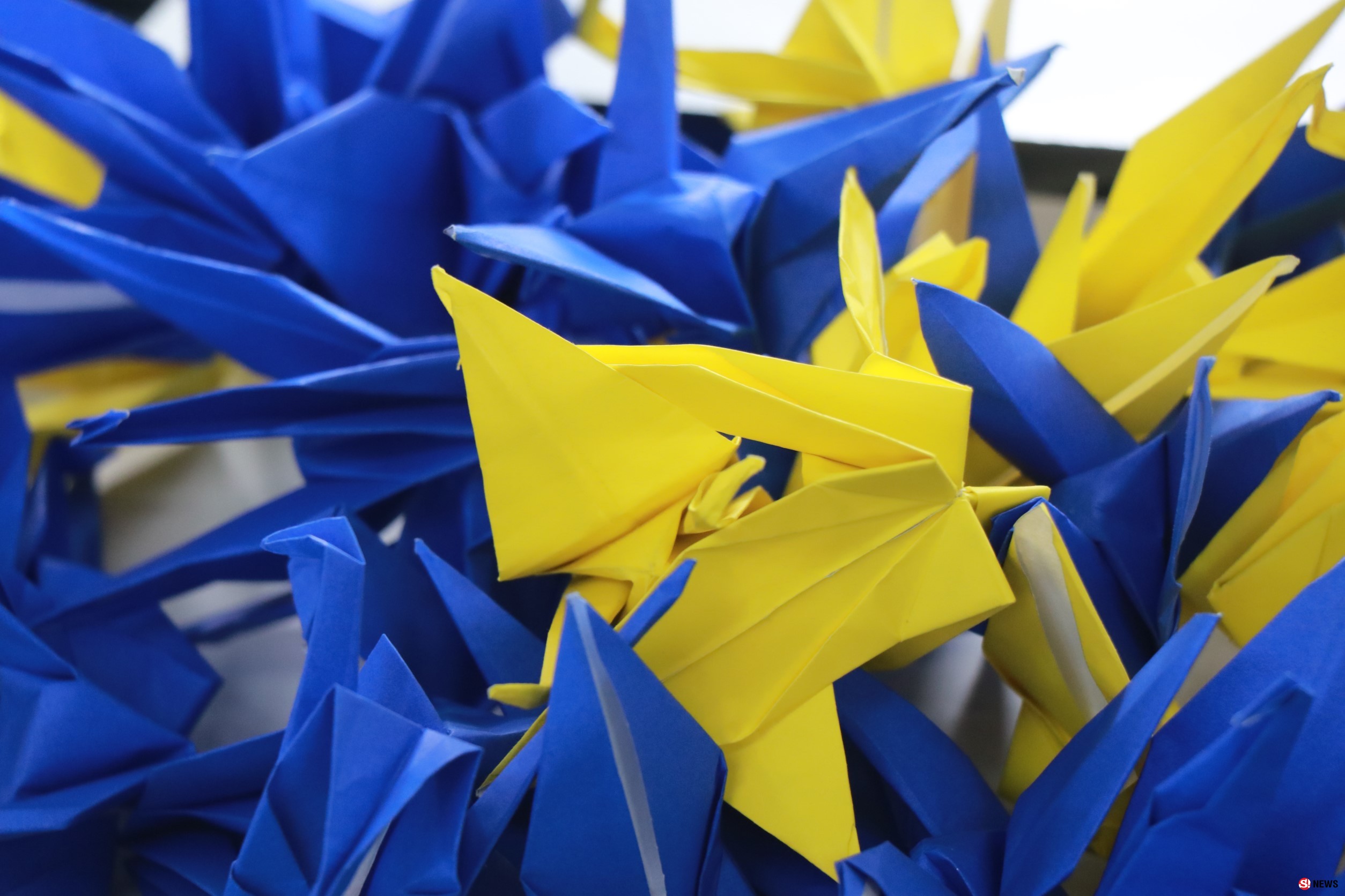 แทนคำห่วงใย นร.ภาษาญี่ปุ่นโรงเรียนดังพับนกกระเรียน 1,000 ตัว ส่งแรงใจช่วย 13 หมูป่า 