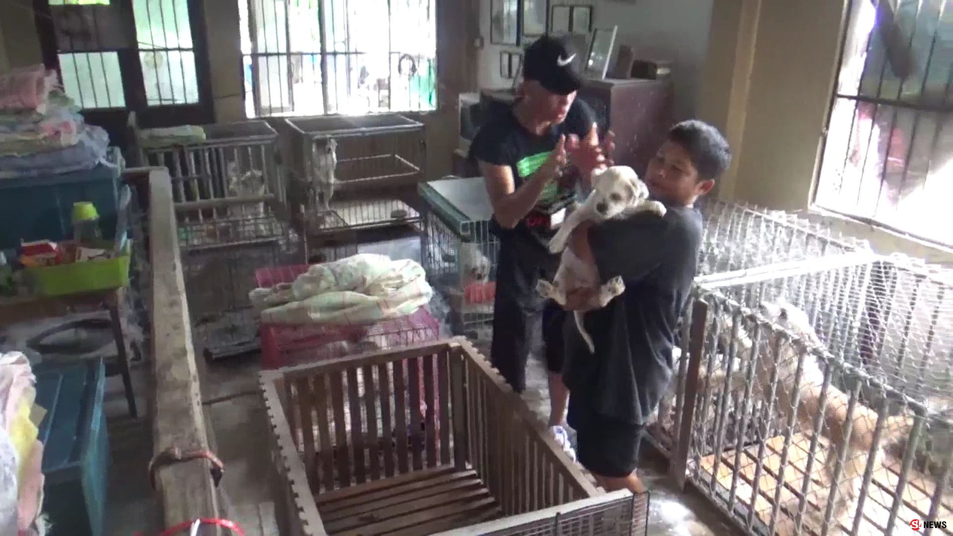 เกินรับไหว! สาวใจบุญเลี้ยงหมา-แมวกว่า 100 ตัว ขึ้นป้ายวอนช่วยค่าอาหารหลังแบกรับมา 20 ปี