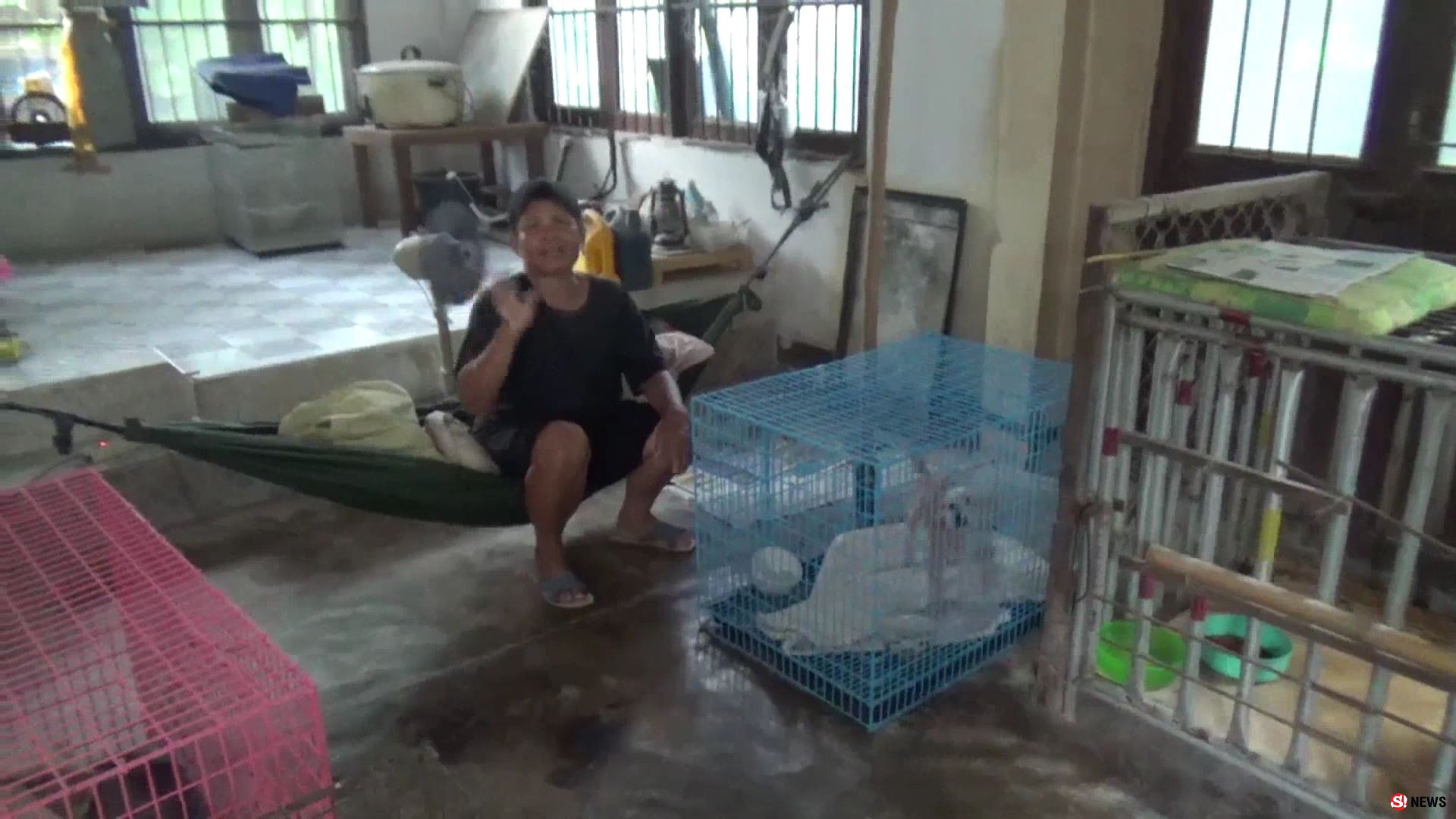 เกินรับไหว! สาวใจบุญเลี้ยงหมา-แมวกว่า 100 ตัว ขึ้นป้ายวอนช่วยค่าอาหารหลังแบกรับมา 20 ปี