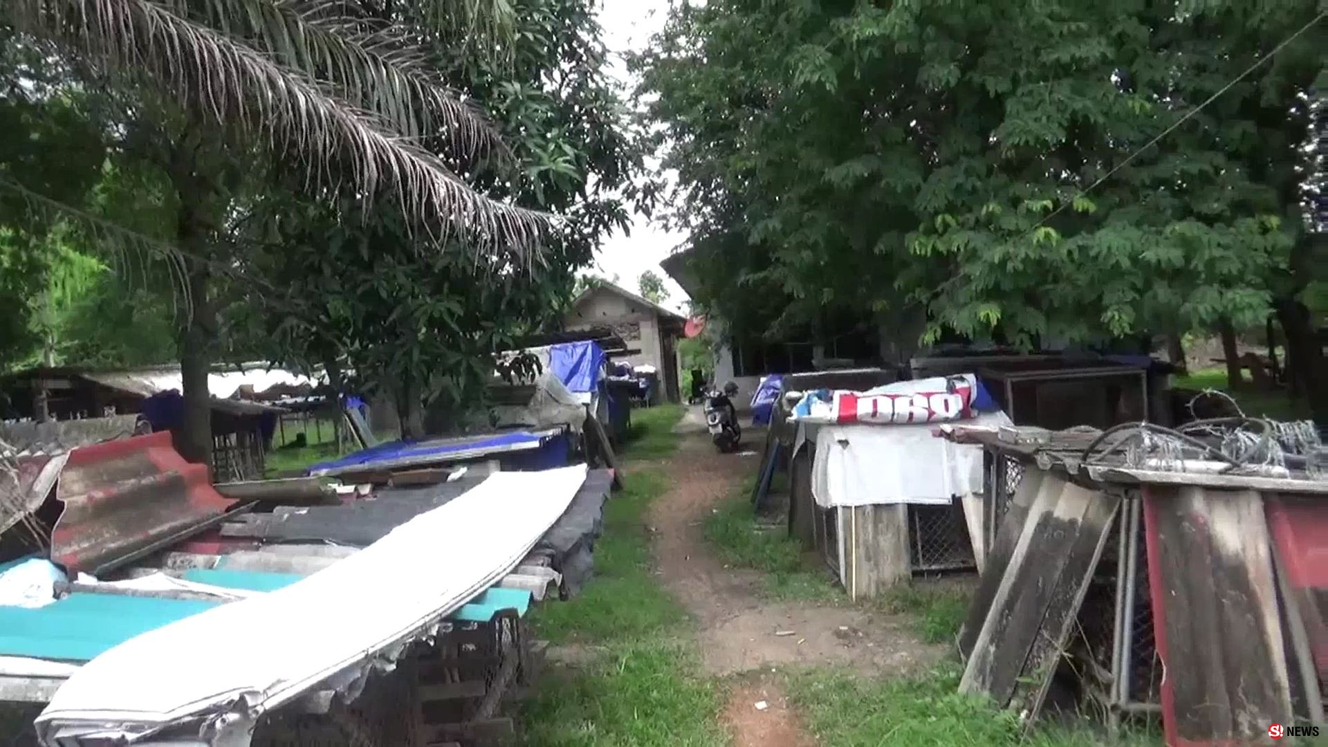 เกินรับไหว! สาวใจบุญเลี้ยงหมา-แมวกว่า 100 ตัว ขึ้นป้ายวอนช่วยค่าอาหารหลังแบกรับมา 20 ปี