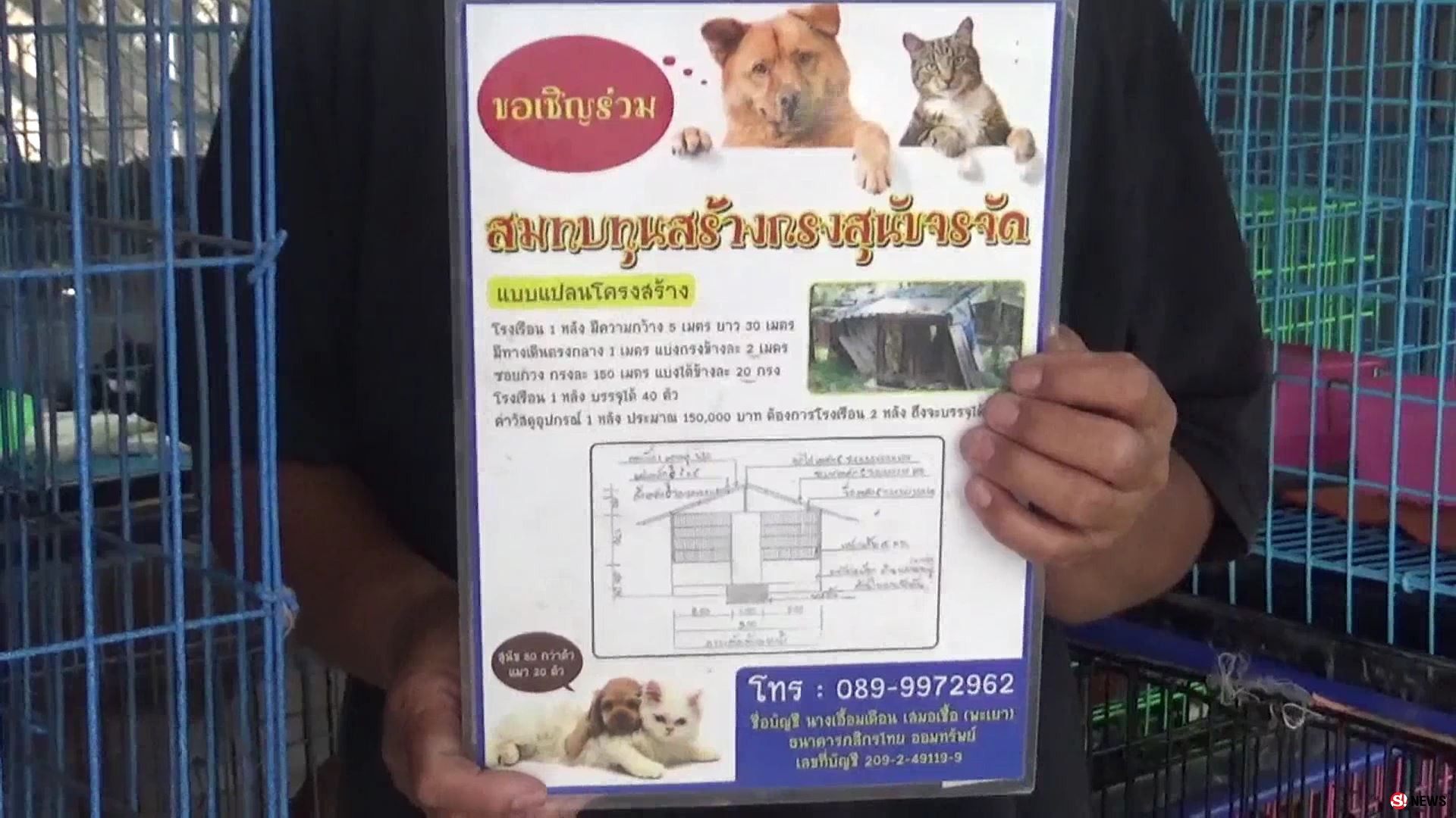 เกินรับไหว! สาวใจบุญเลี้ยงหมา-แมวกว่า 100 ตัว ขึ้นป้ายวอนช่วยค่าอาหารหลังแบกรับมา 20 ปี