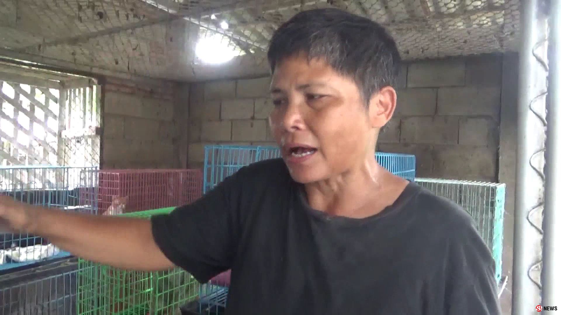 เกินรับไหว! สาวใจบุญเลี้ยงหมา-แมวกว่า 100 ตัว ขึ้นป้ายวอนช่วยค่าอาหารหลังแบกรับมา 20 ปี